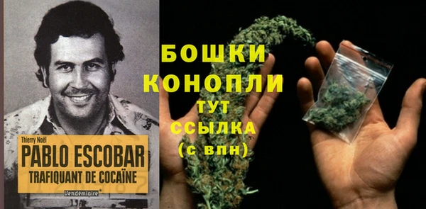 мдпв Куйбышев