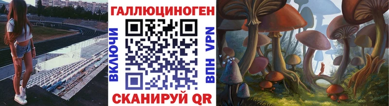 Псилоцибиновые грибы Cubensis Купить закладки Новочебоксарск